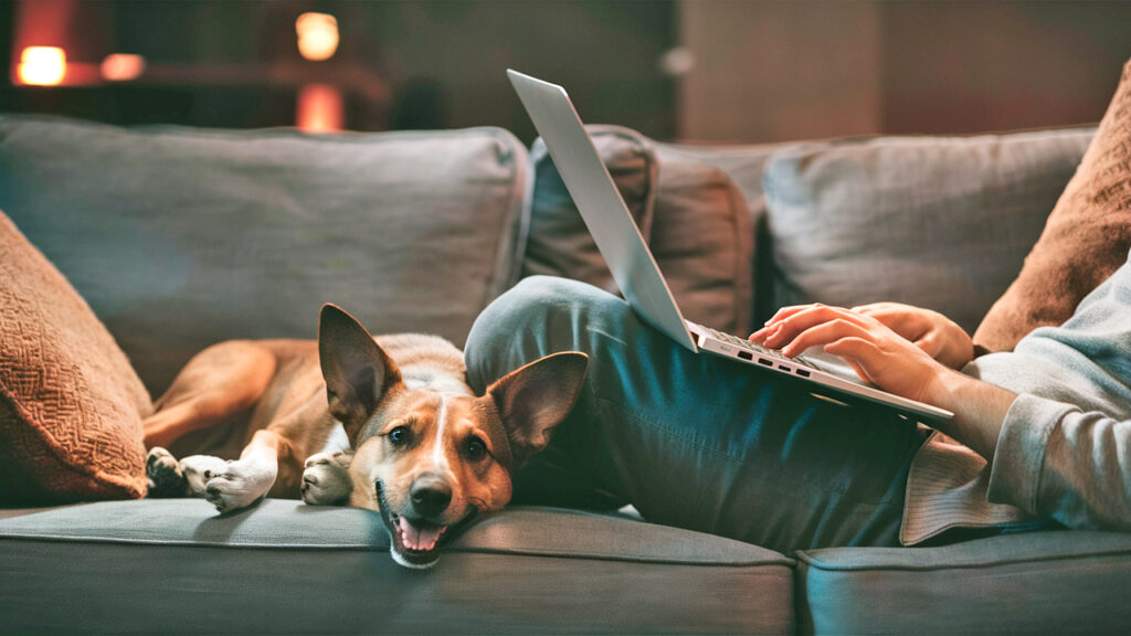 A cozy digital nomad, candid photo of a person comfortably lounging on a couch, using a sleek laptop computer. A warm, inviting ambiance fills theroom with dim lighting. A friendly dog, with a joyful expression, lies beside the person, resting its head on the person's leg. The dog's playful ears and tail reveal its alertness to the person's actions, creating a heartwarming bond between the two of them