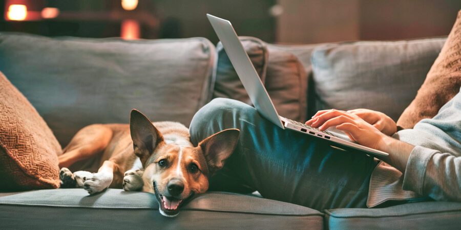 A cozy digital nomad, candid photo of a person comfortably lounging on a couch, using a sleek laptop computer. A warm, inviting ambiance fills theroom with dim lighting. A friendly dog, with a joyful expression, lies beside the person, resting its head on the person's leg. The dog's playful ears and tail reveal its alertness to the person's actions, creating a heartwarming bond between the two of them